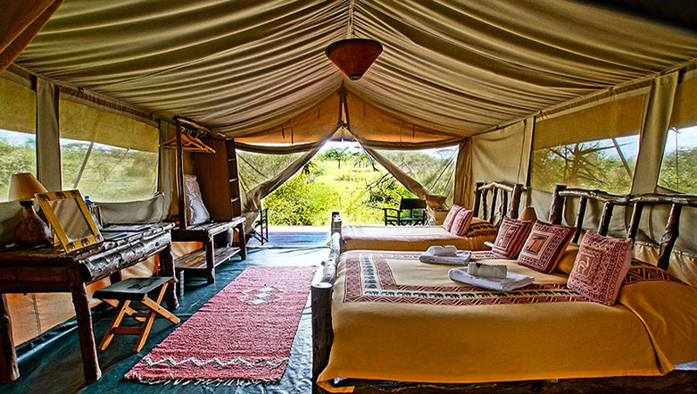 Porini Lion Camp | Masai Mara Safari